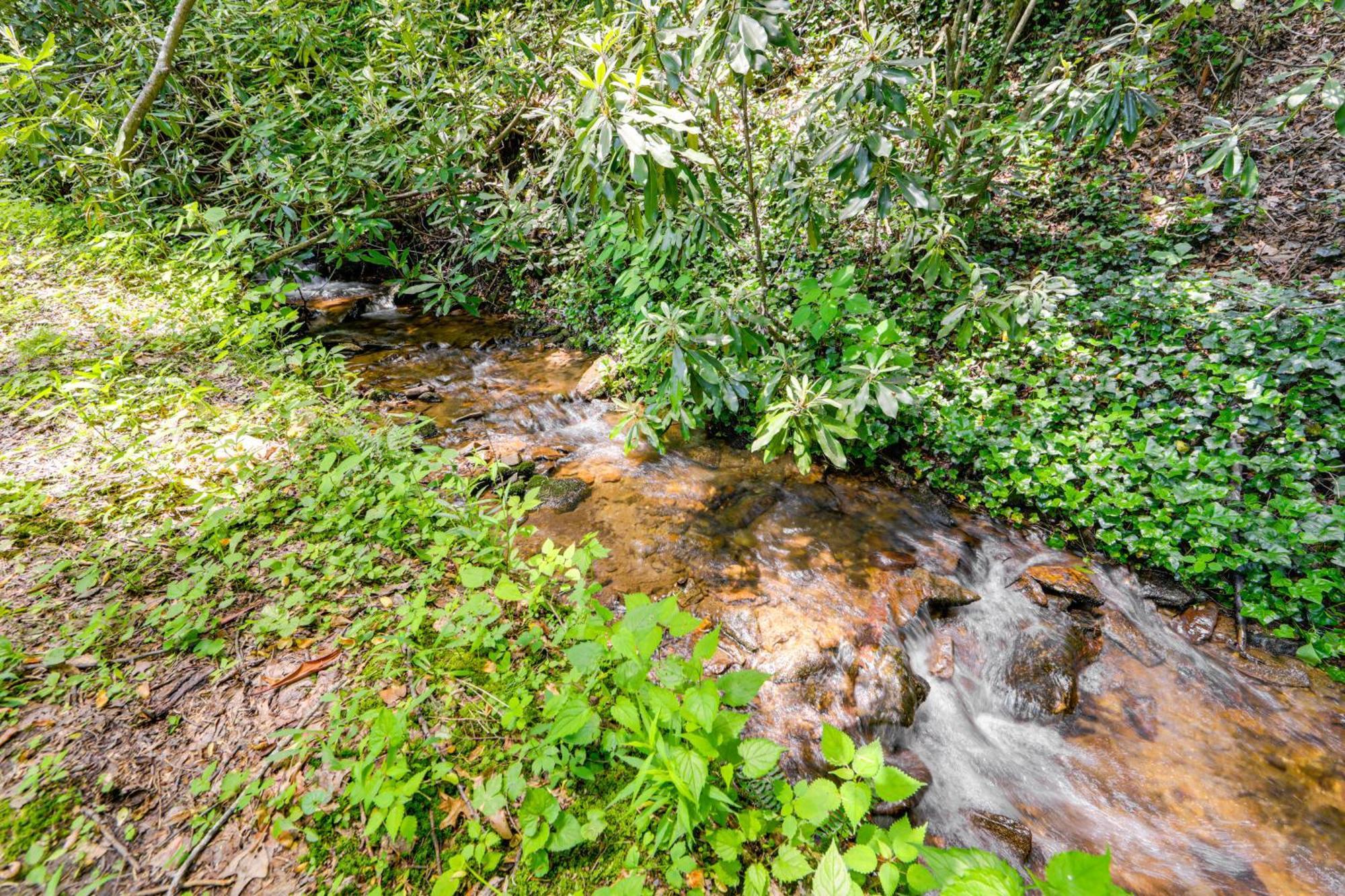 Pet-Friendly Creekside Cabin With Pool Access! Maggie Valley Kültér fotó